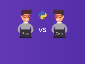 pros and cons of python