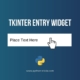 Entry in Tkinter