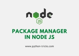 package manager in node js